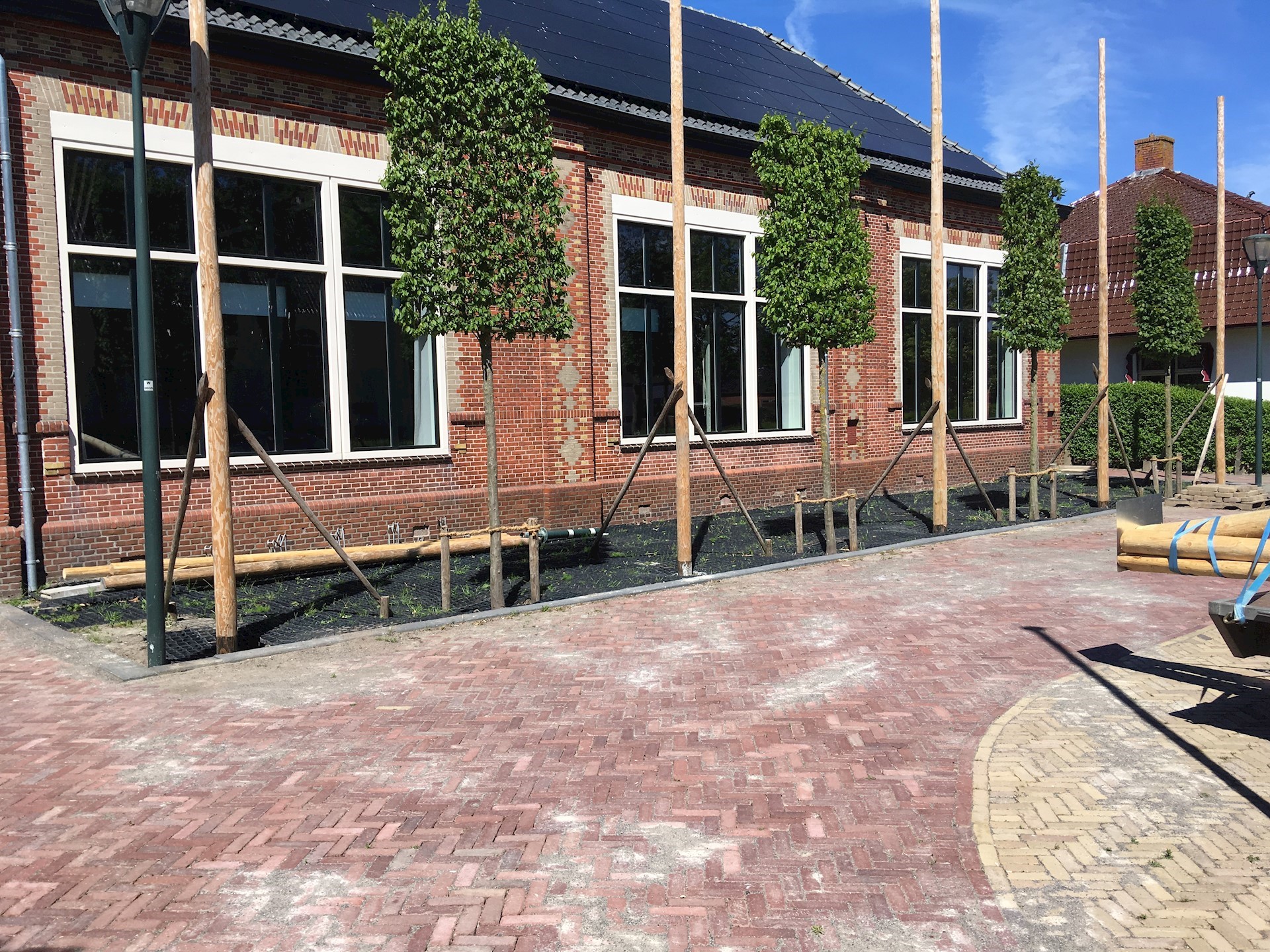 leibomen adorp_7037.JPG