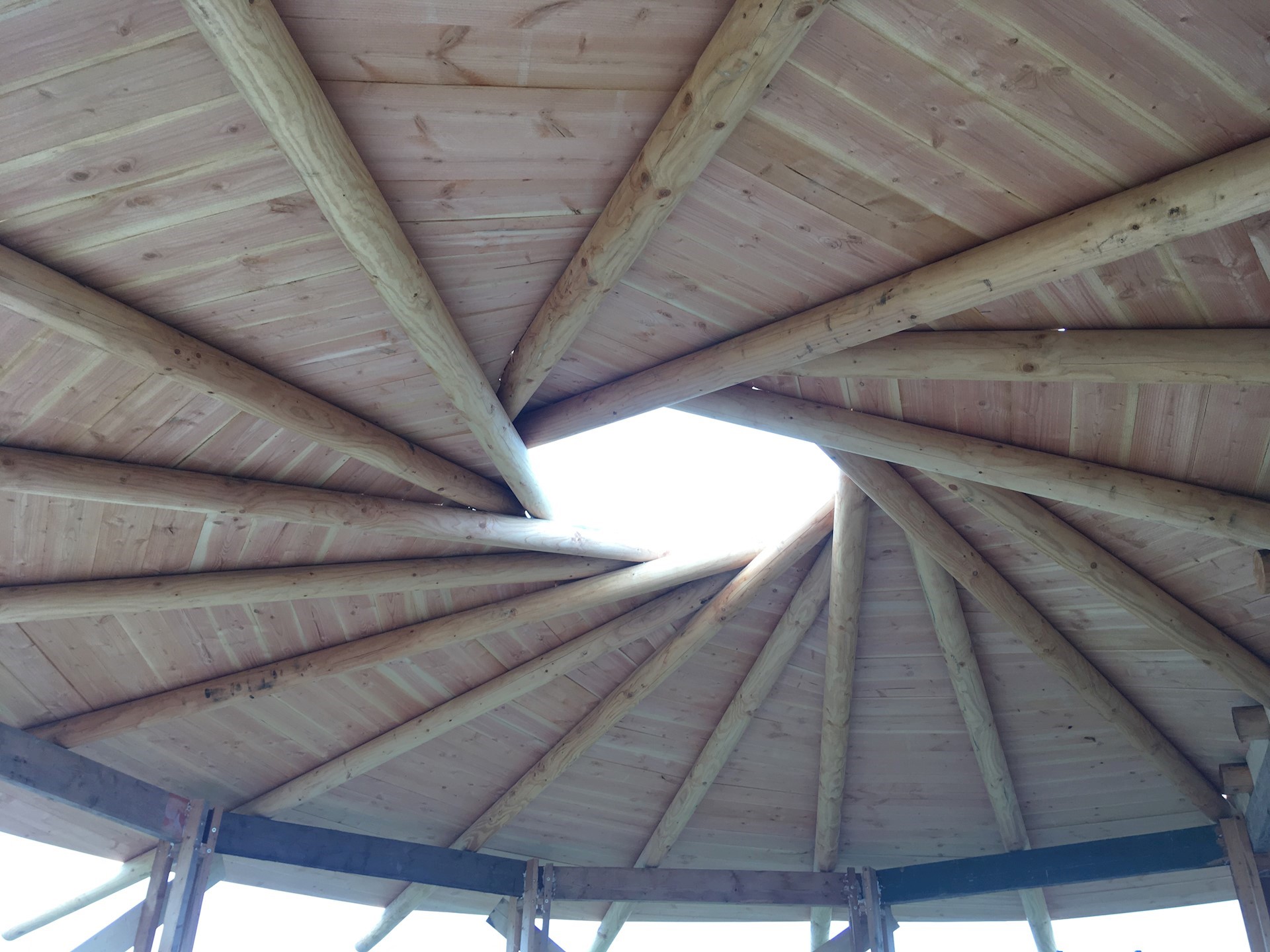 tinyhouse ten boer.jpeg (2)