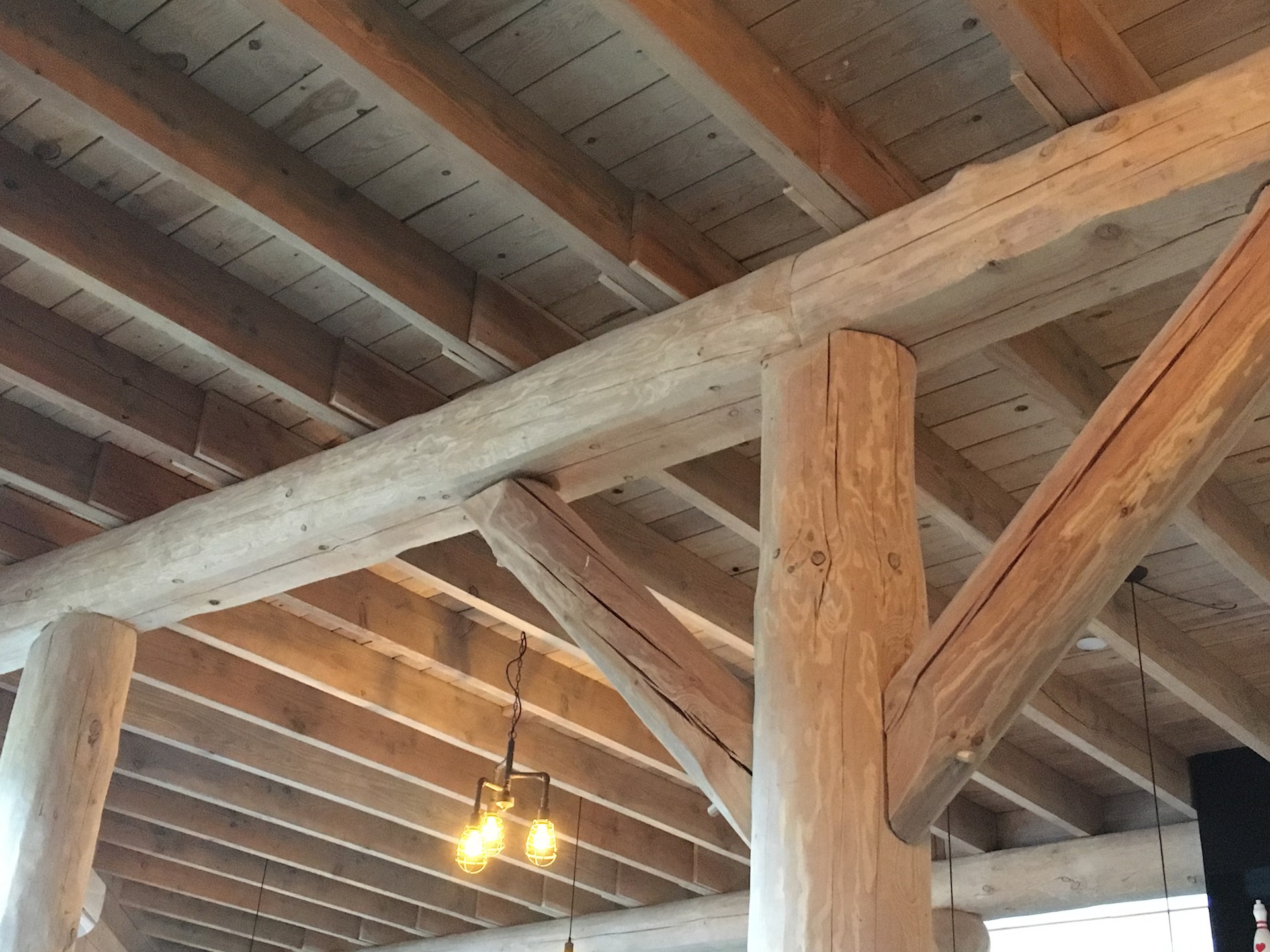 858AB83A CE7F 4FFB B381 A6F9EE58DE83