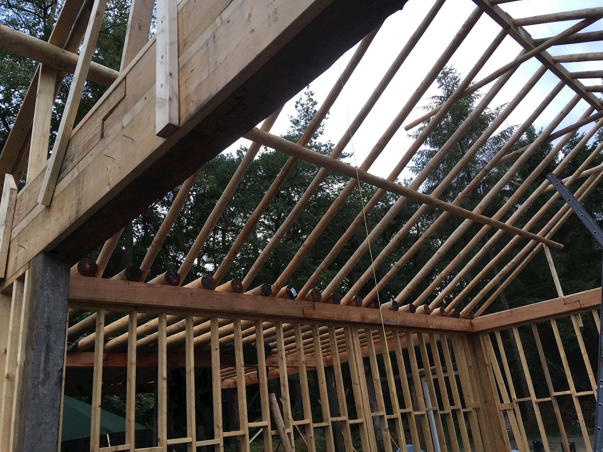 AF046AD5 6F8F 4CE4 898B 46C0A76CB156