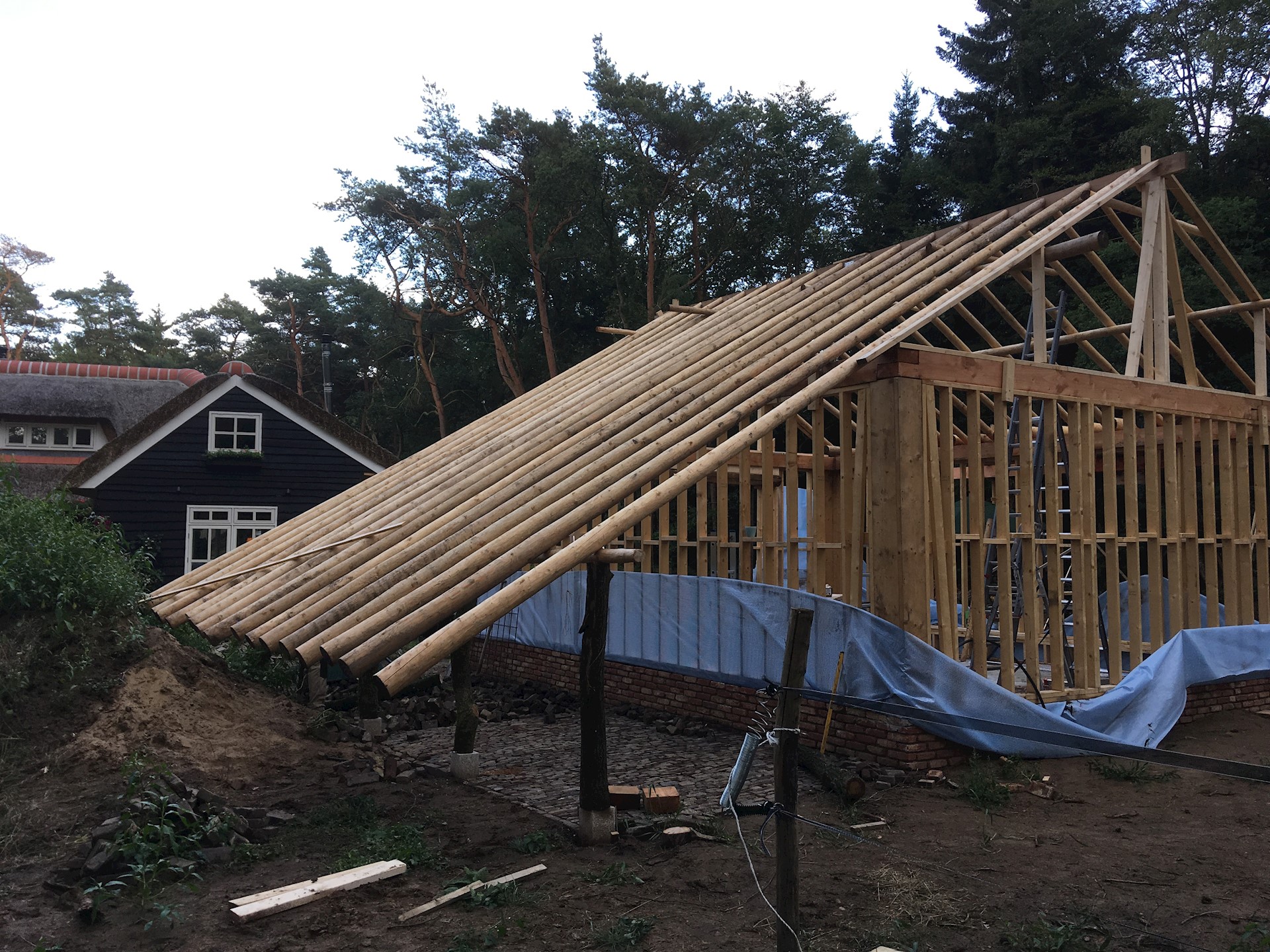 F0AA9464 1962 4F1C A2A0 2AE3AE426046