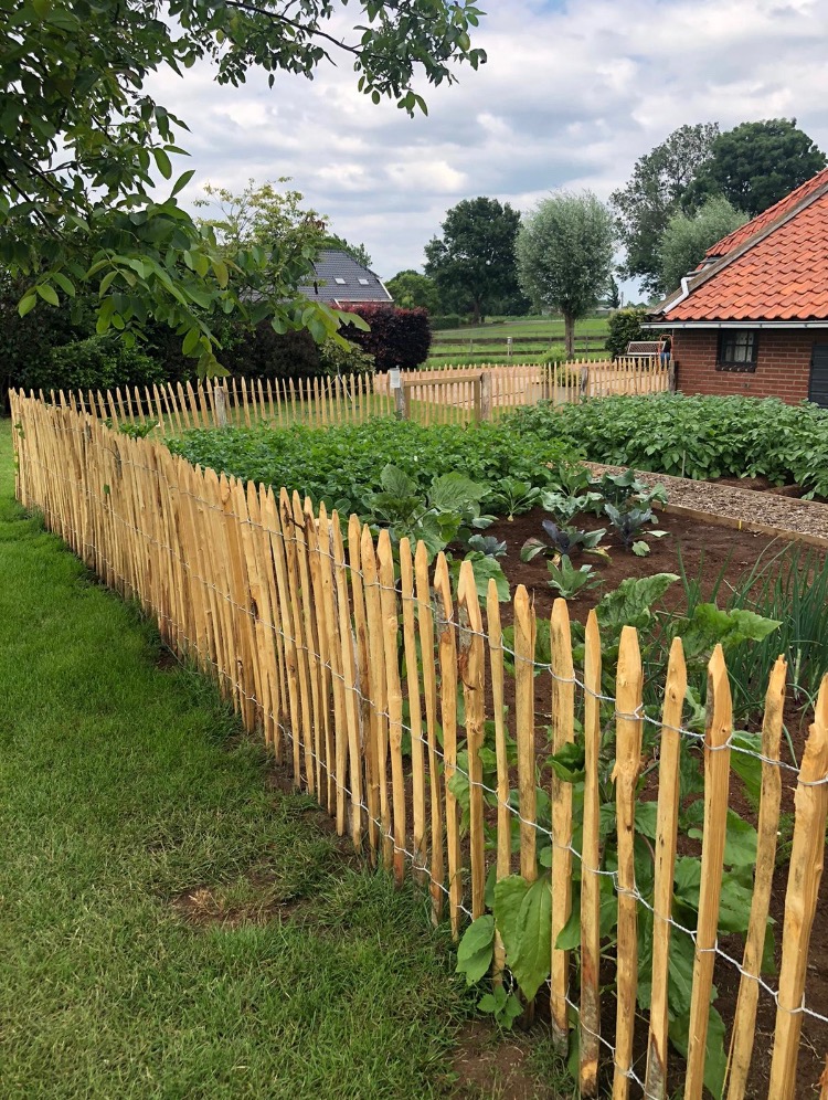 Frans kastanje hekwerk