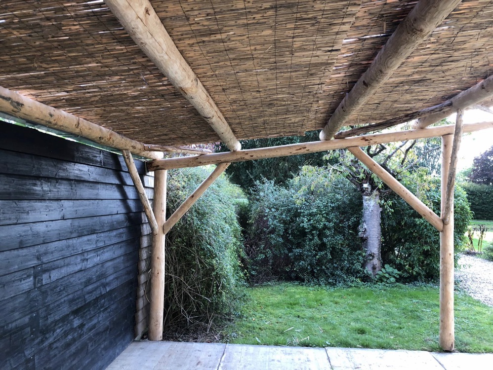 344E5CF3 A901 41C9 9E9B C36450893776 1 201 A