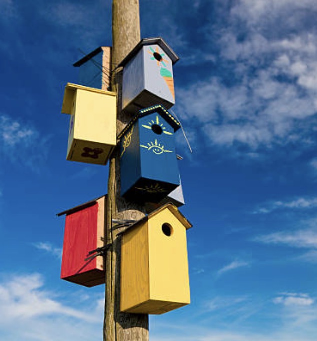 BD62FE0E F939 4C05 B9E6 C482EC10C34D 1 105 C