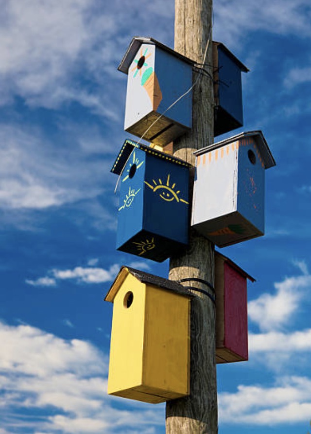 2DCE58B1 53C8 4F23 A346 89D69C8F98DC 1 105 C