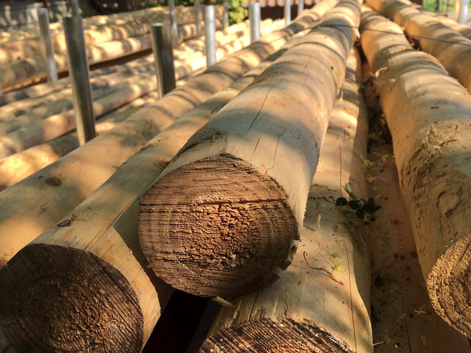 8F725CD6 141F 45B7 8042 E752A7A5C1EE 1 201 A