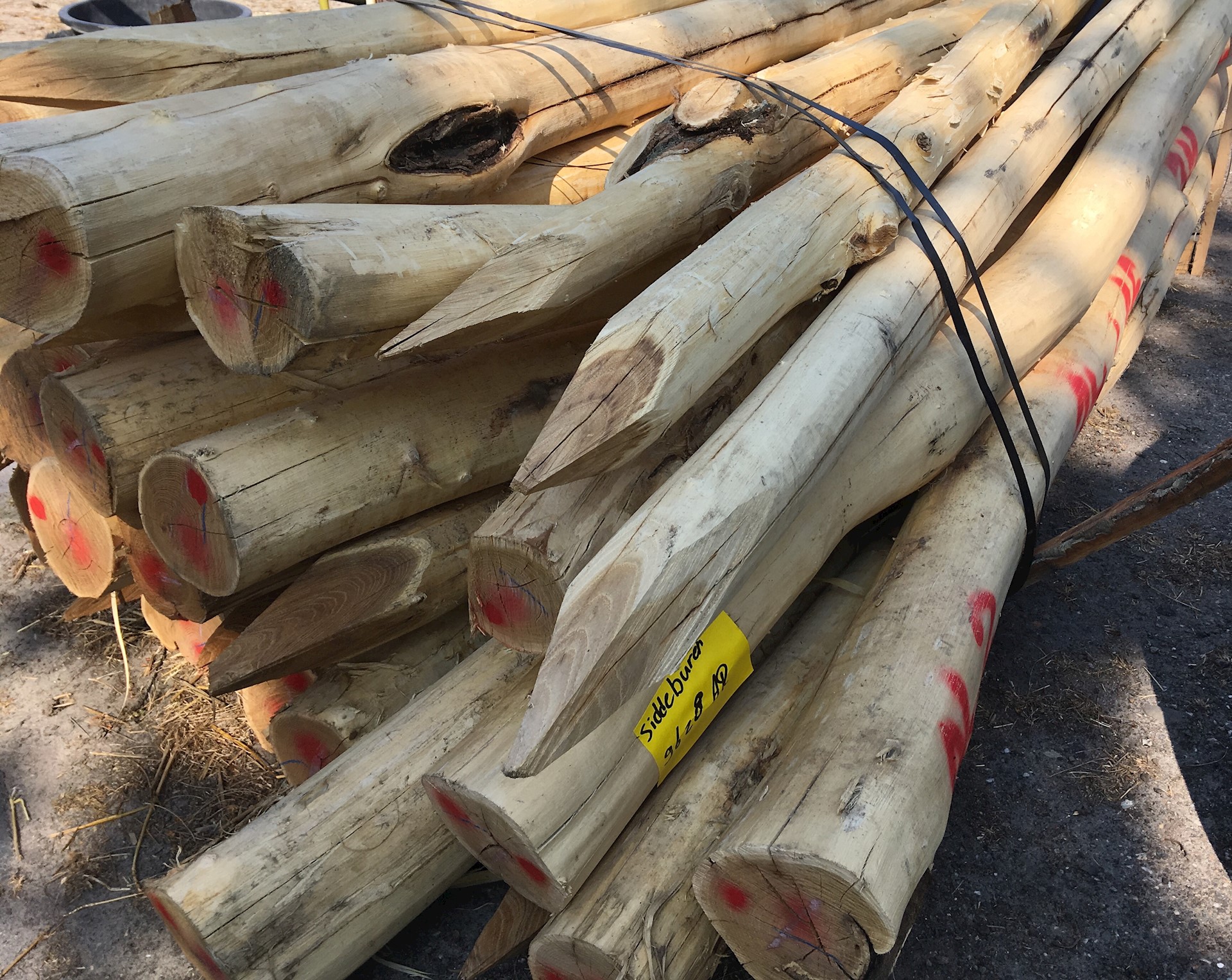 674EC9E3 0711 4791 A5FC 7D9F981D078A 1 201 A