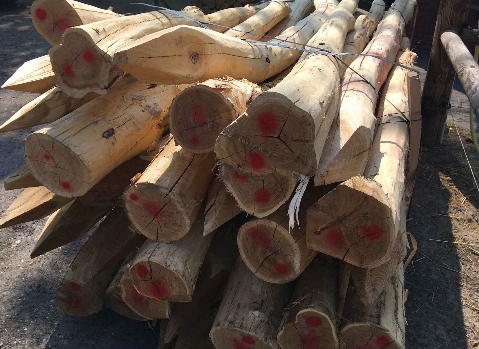 4E3B2706 56B9 4AEC A4EE D42AECDB2768 1 201 A