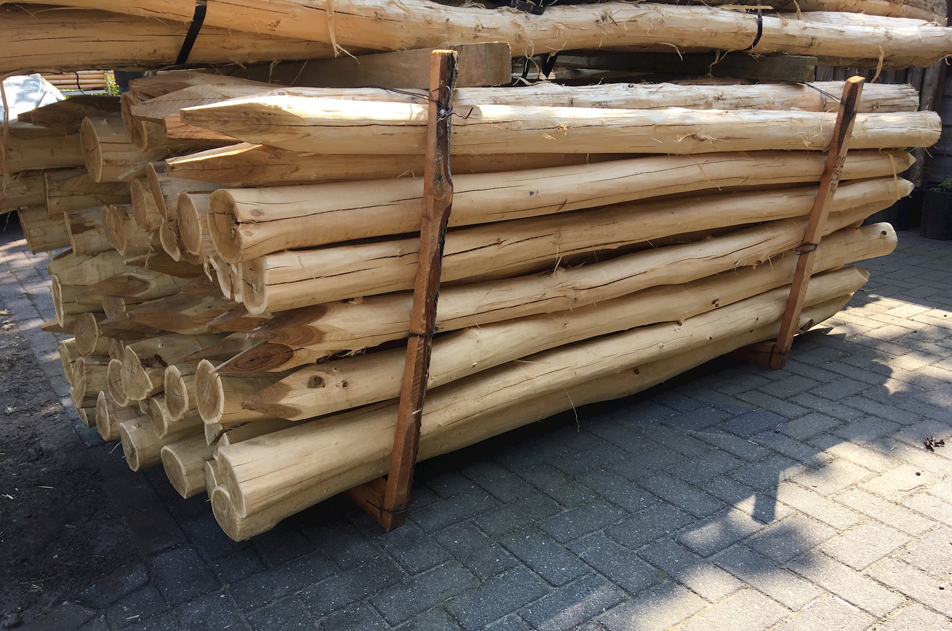 0C49B078 1E77 4891 861B 6446A99A733F 1 201 A