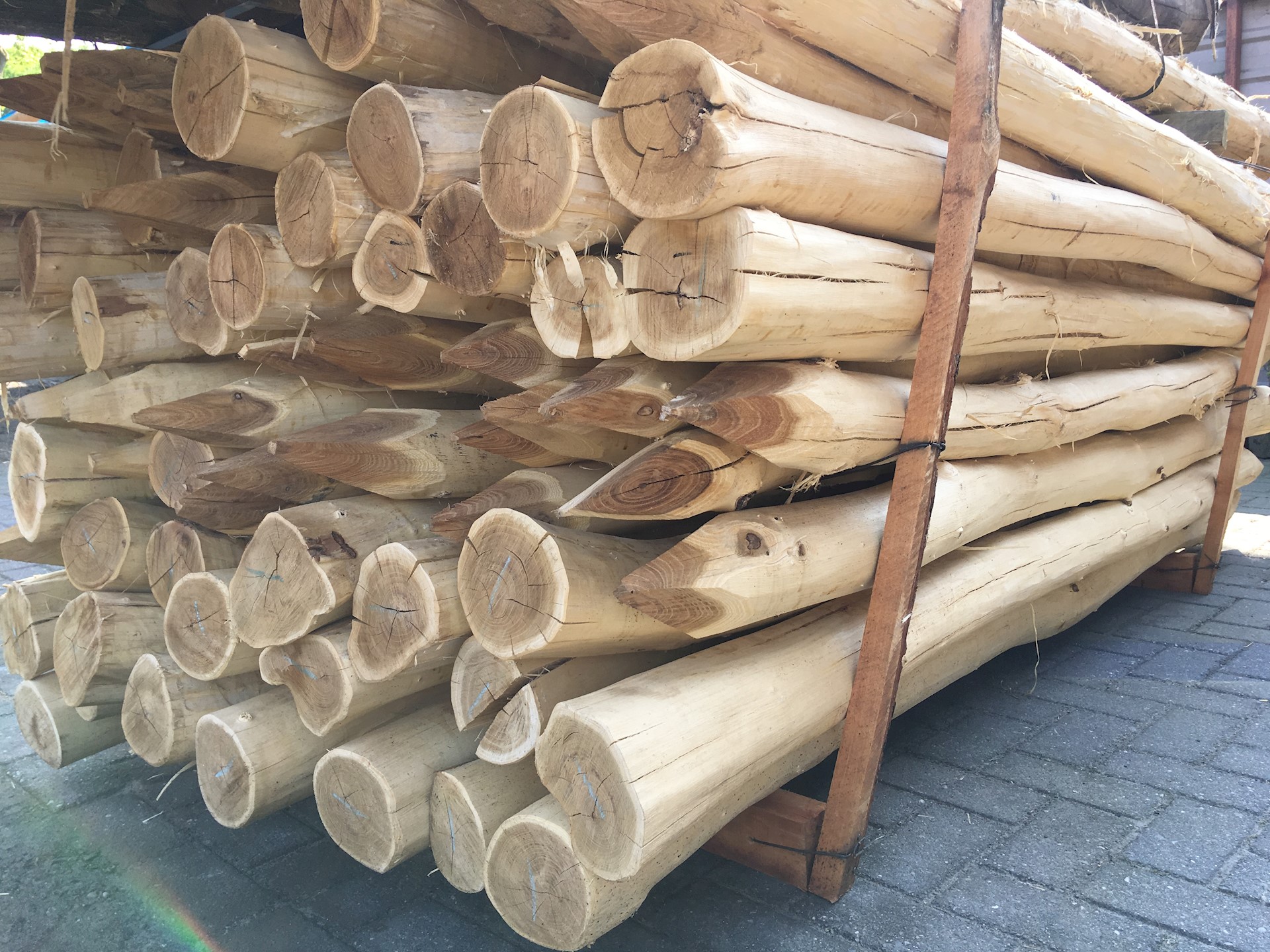 C069580C D329 48B6 A316 84F154C148D0