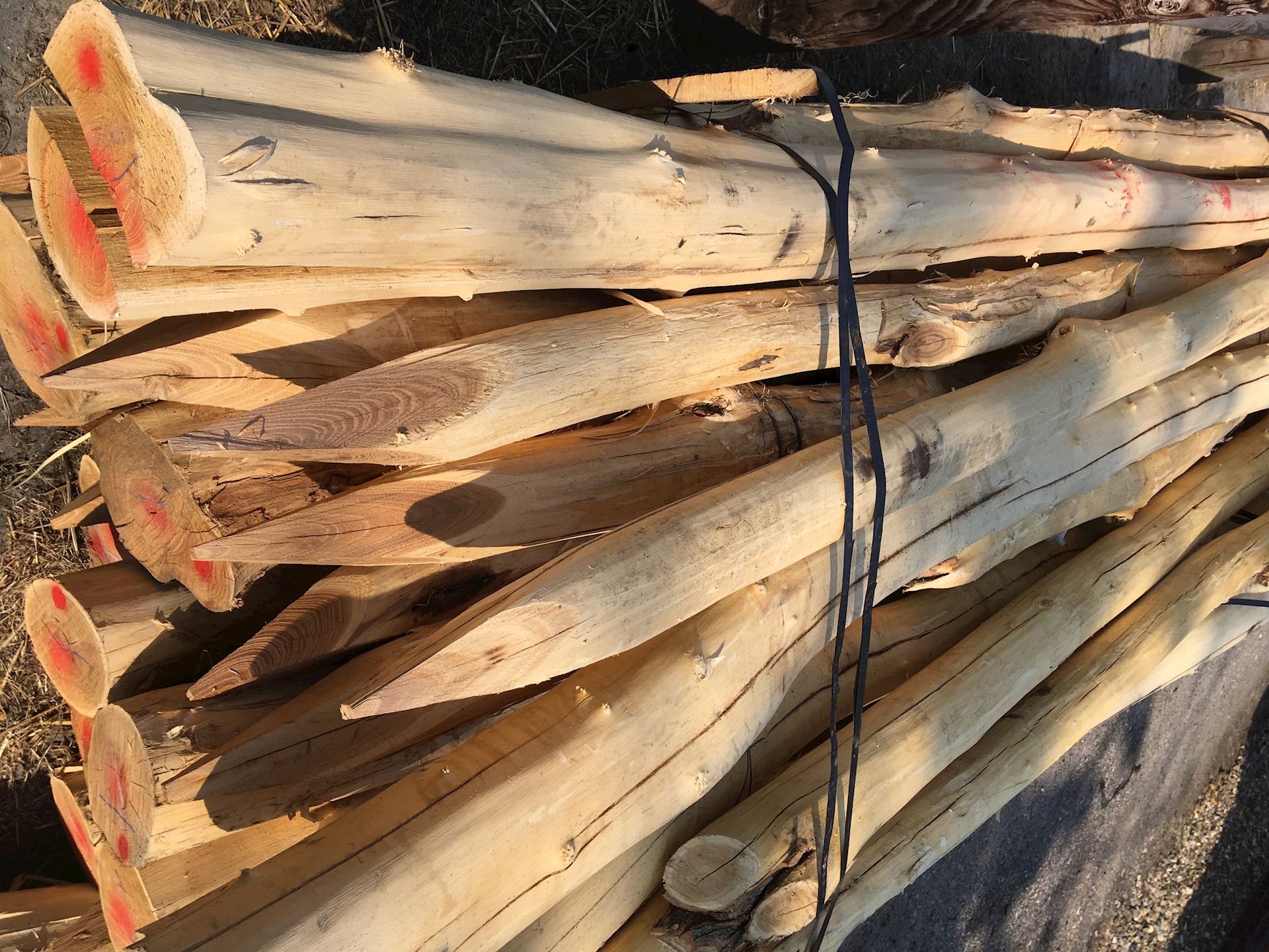 F970D99D C3F5 4106 BA7F A6A508868D88