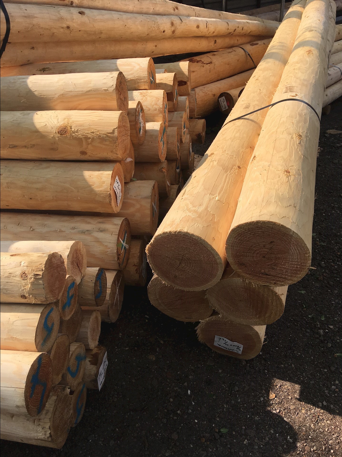 BECEFB3D F52E 4E0A A213 18049A376362