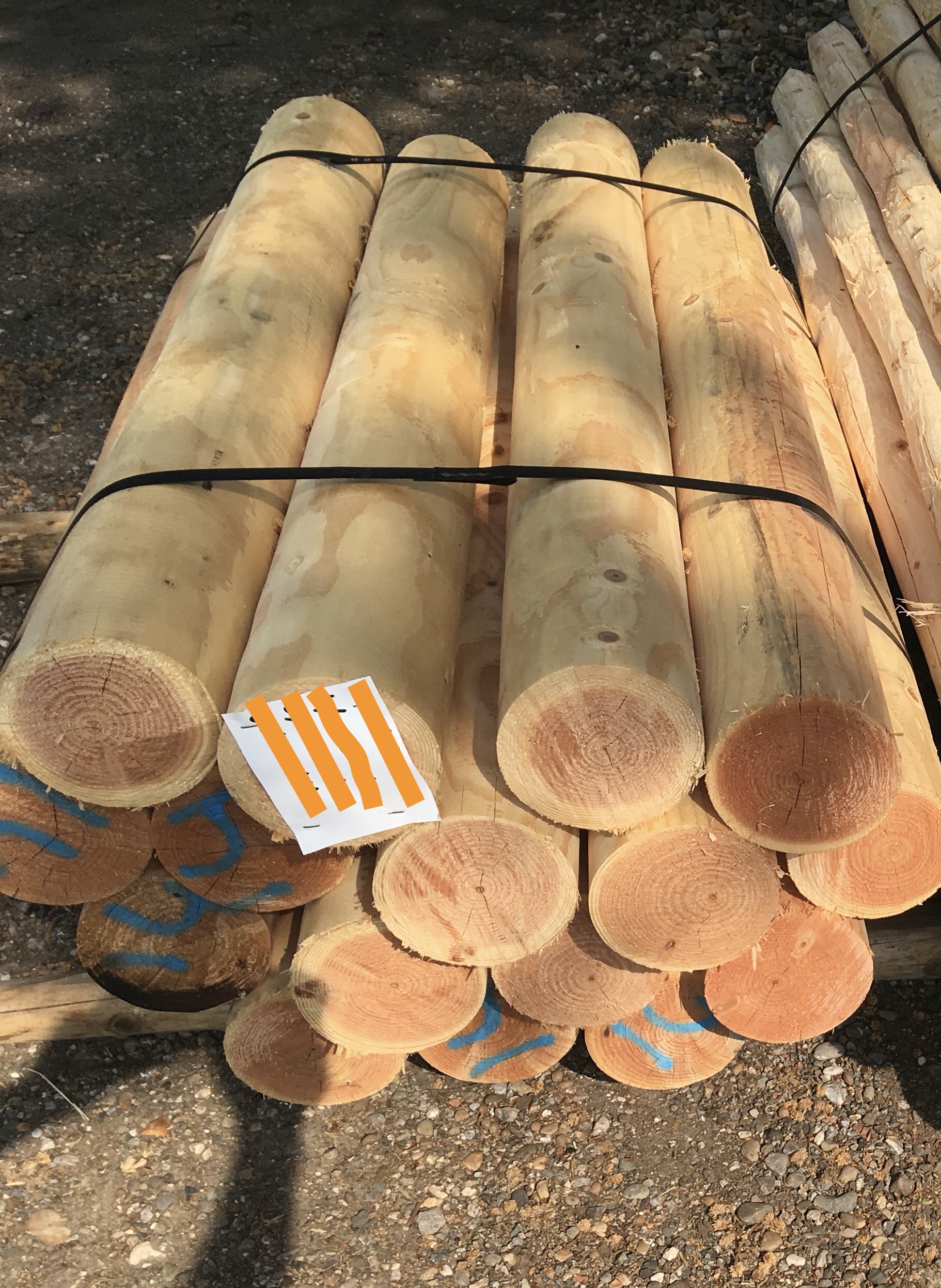 D76D91F2 EEA9 4A5C 8486 EE7B9DD54CB6 1 201 A