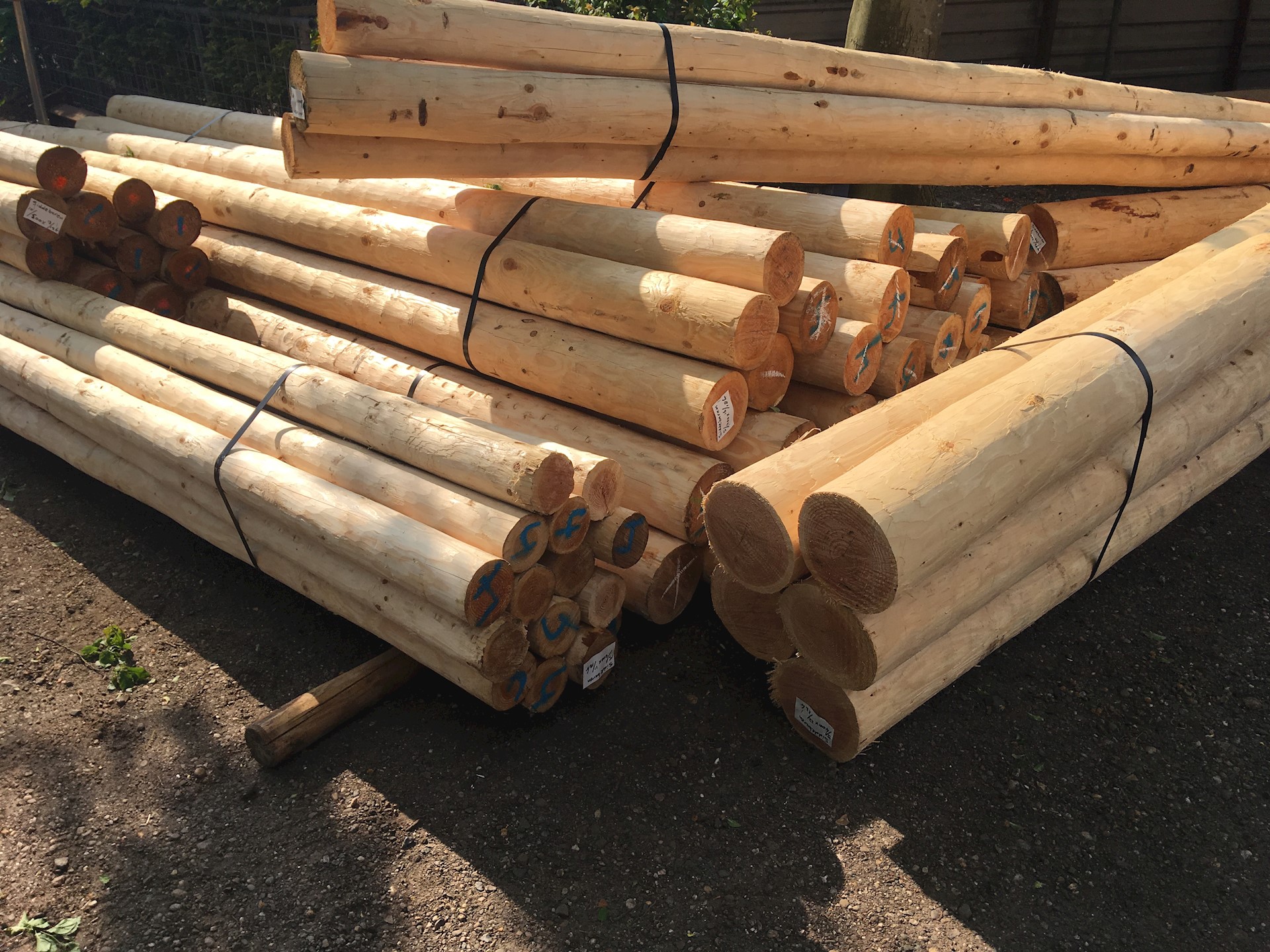 CB191E1F B5F2 4EAC B980 DE6D89F1D029