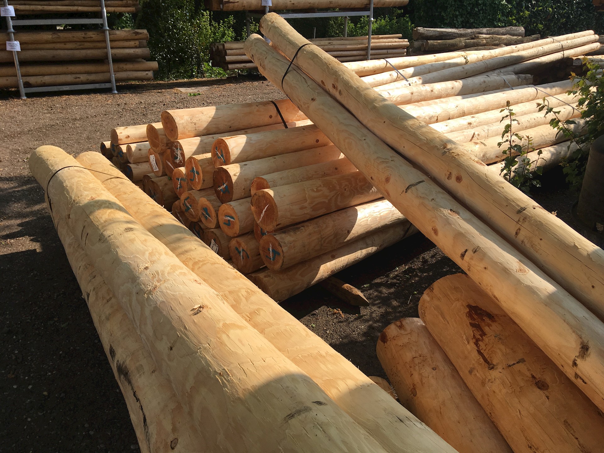 9D77E2BE A4D5 4BCF A528 4CDADF887A0D