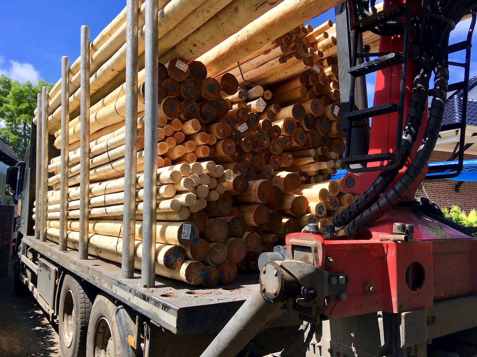 C156AAB1 CB85 4C5E B3C9 748E704DA8C0 1 201 A