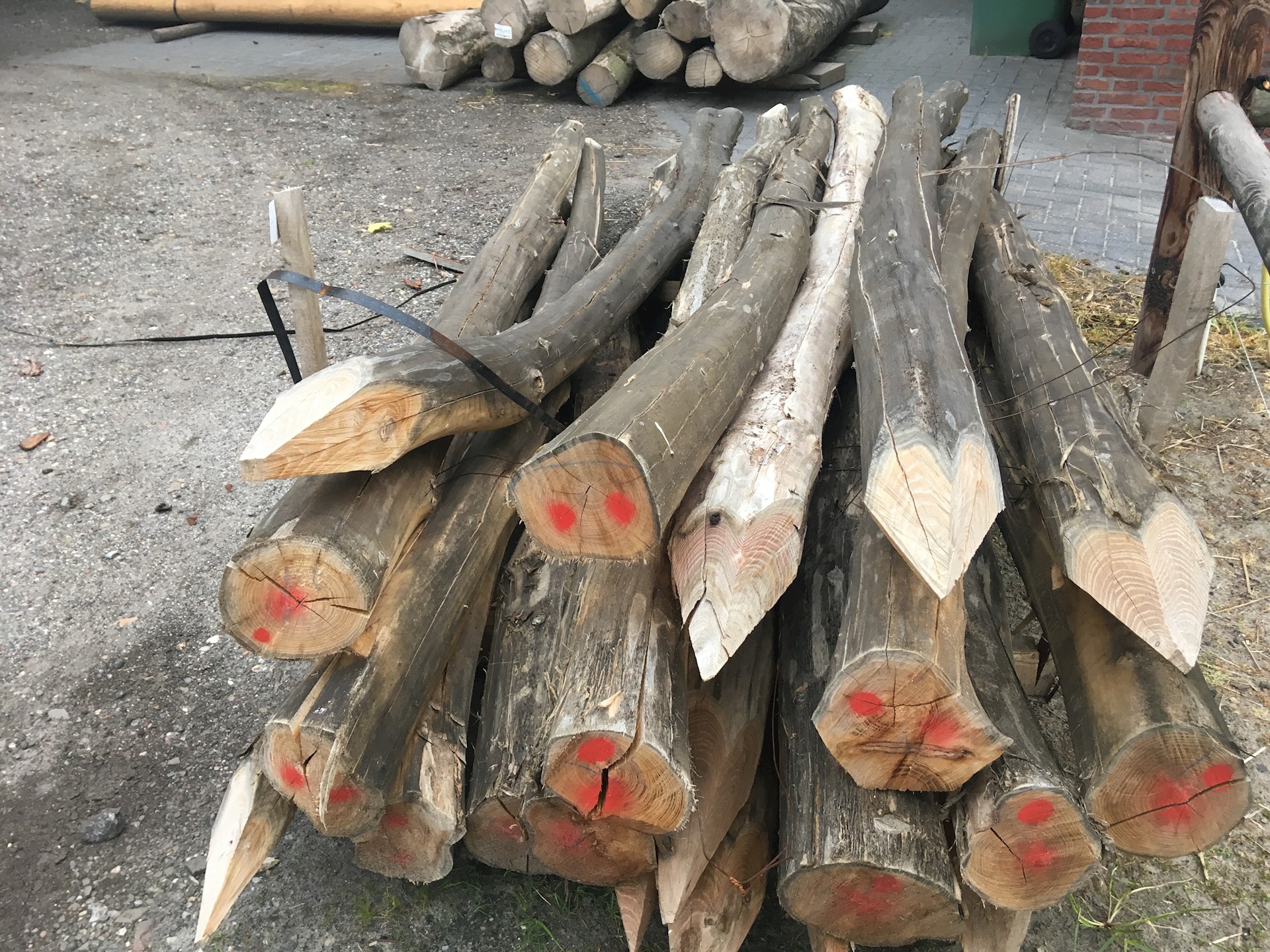 0B0BFFF0 B838 4694 936D 0AD304234F1E