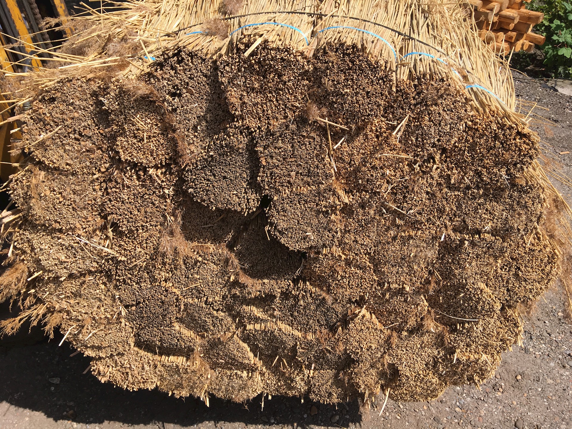 6F17EEE2 9C14 47D6 8D52 EC82AE93A5A9