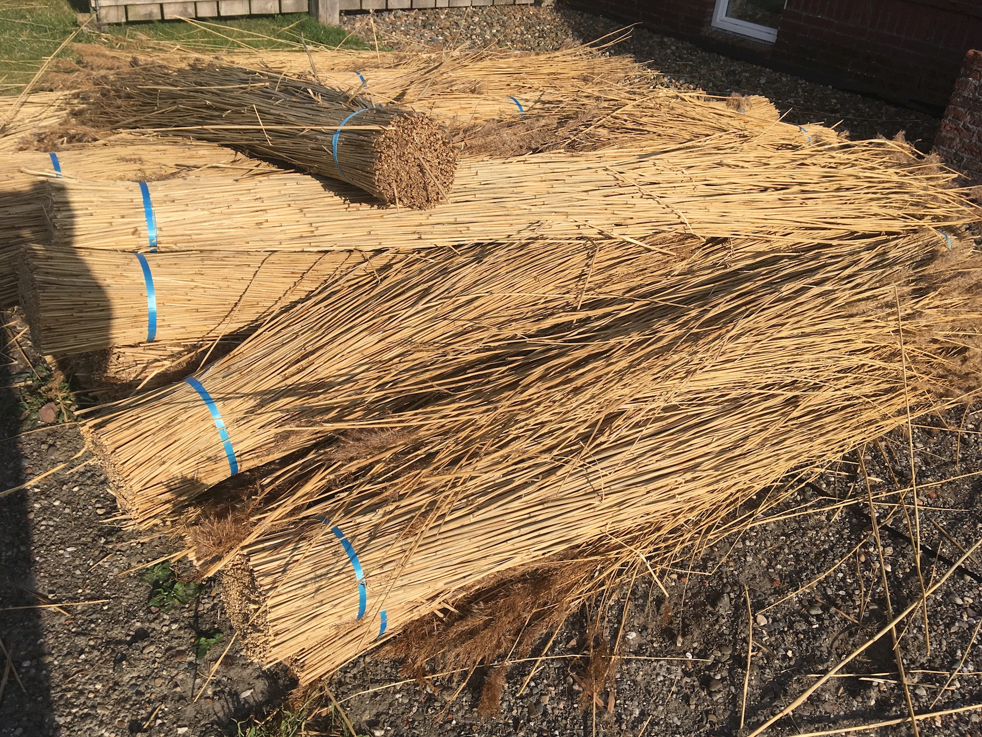 AE7F7794 1ABC 433B 89EB 3D808A9608DE