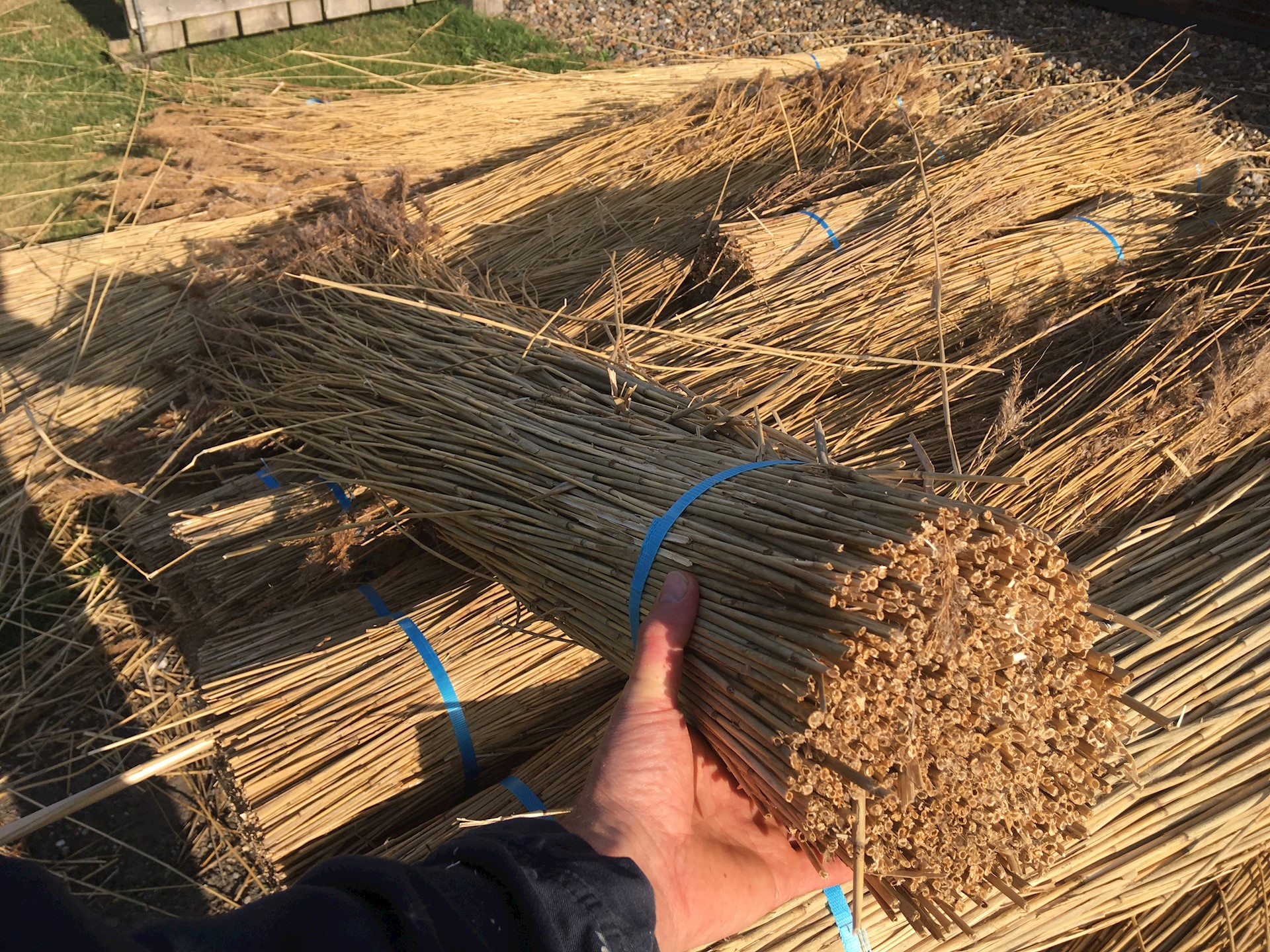 92A2703D CB3E 421A A14B DA9DADFDEF61