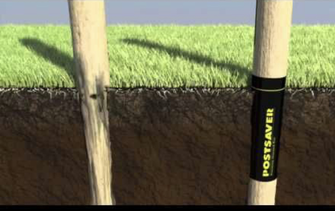 3968D3B3 9ACB 4164 9FF9 EBE162BB376D 1 201 A