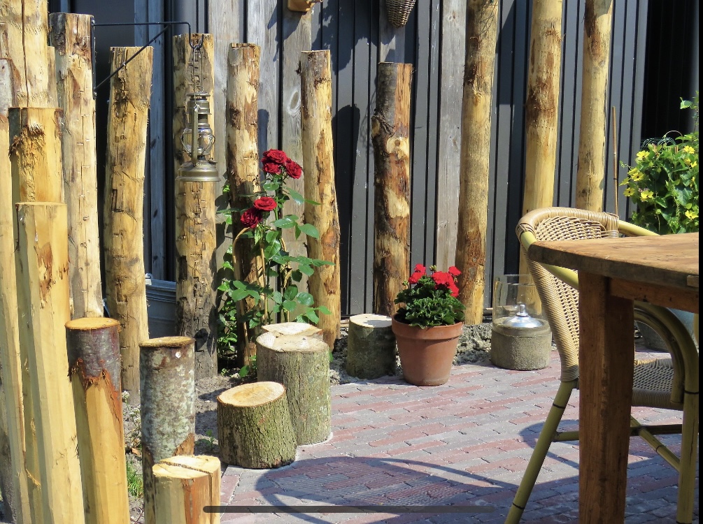 34807BB8 EDDC 4545 ADAC E56590354A25 1 201 A