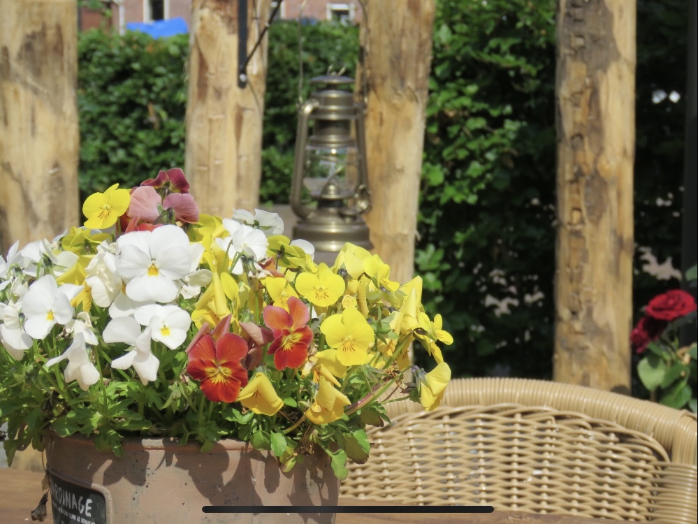 7610038D 4A6C 4A8B 871F 06BB1C8FDBCE 1 201 A