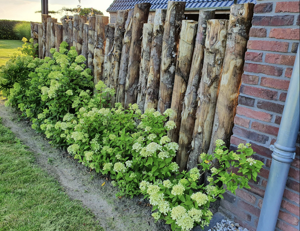 845EA678 F159 4270 98B9 417D79871B76 1 201 A