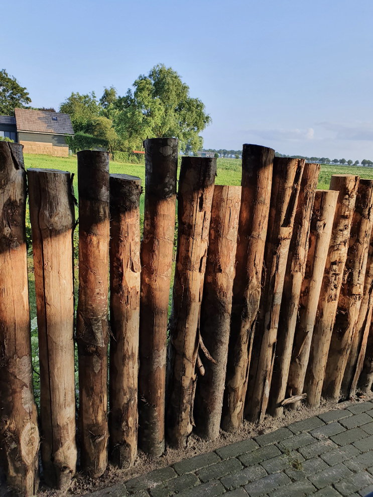 07F9375F 85F7 41BB 862B 603685302EBD 1 201 A