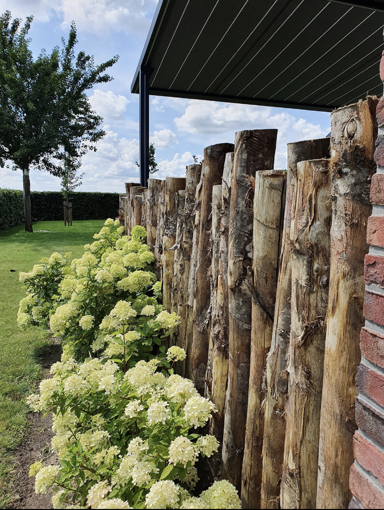 285DC0C7 7F07 46CA BDE7 BC932740FE4E 1 201 A