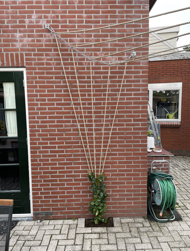 6A163CCC 9C26 4CA5 B9EF 592EBCAF8FC8 1 201 A