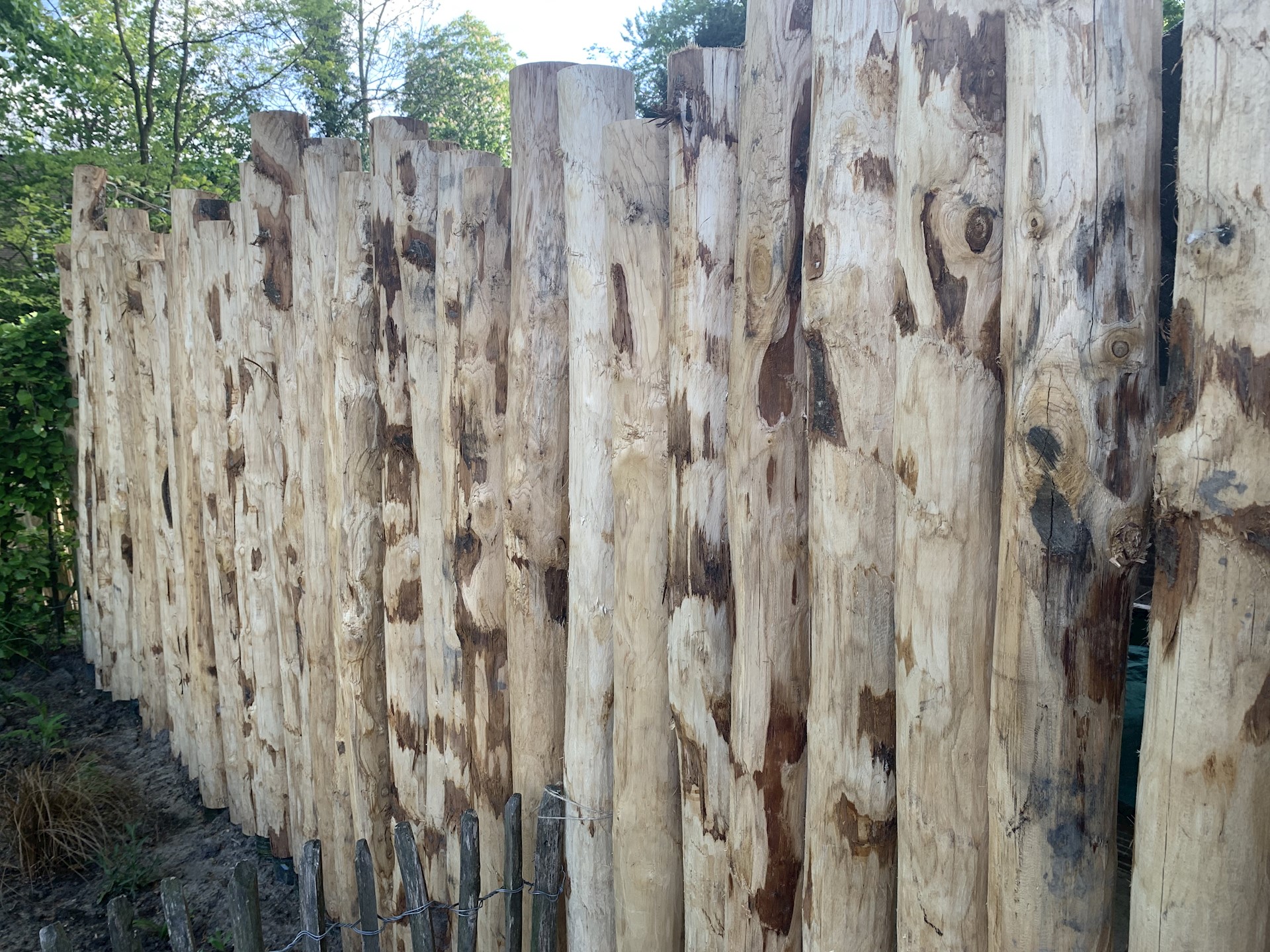 BA3C057A 692F 4403 AE6E 07A1D846AFF8