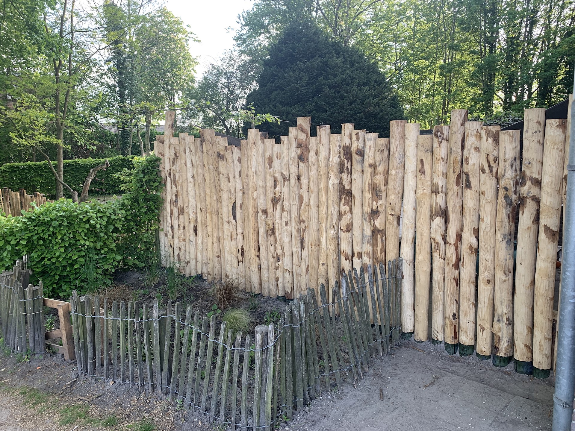 D7E9FF87 BD57 40CB 9A34 D5CCDE2EB527