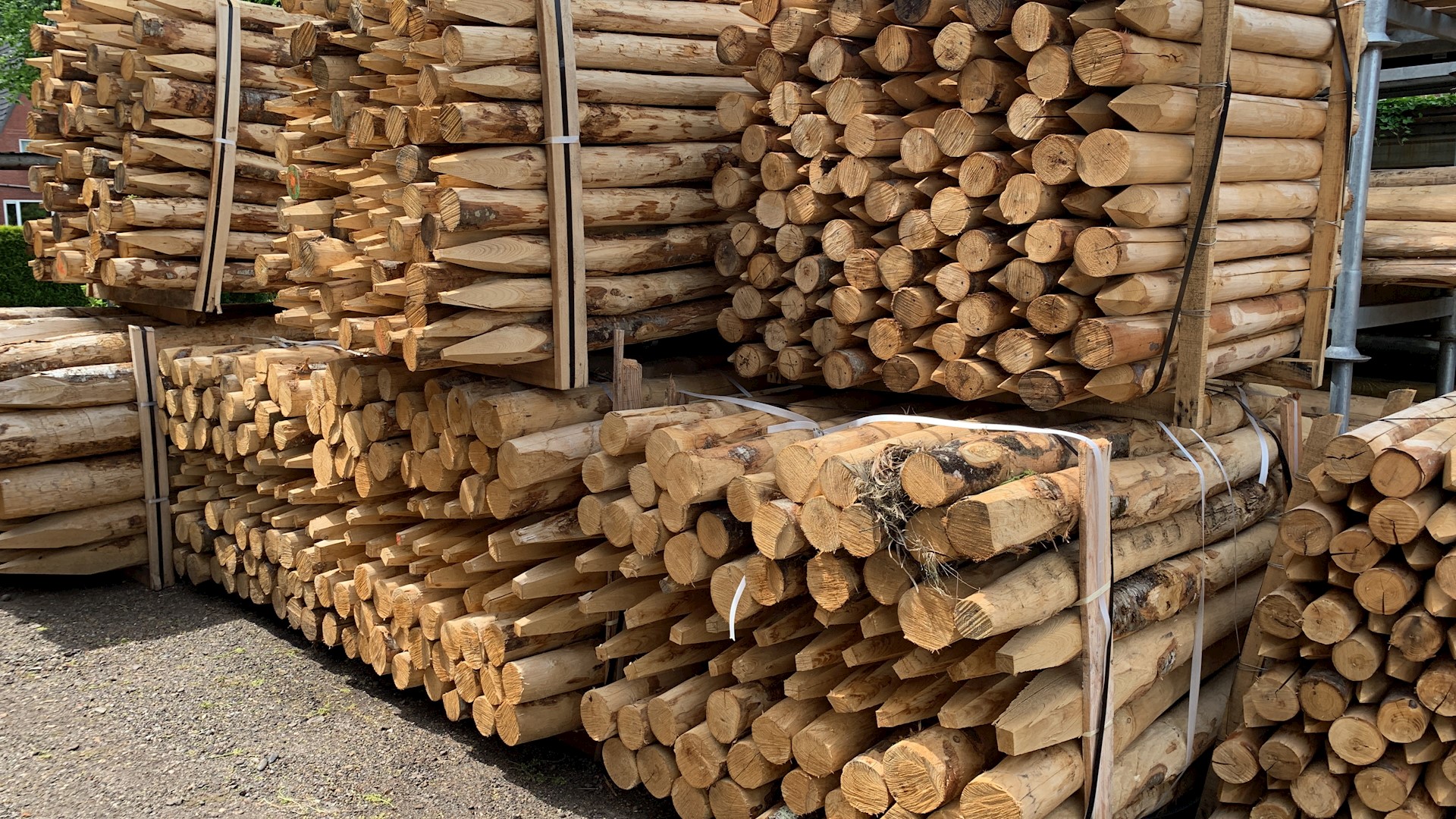 D838A89B 3FC4 421D A2B6 5FA04EC20583