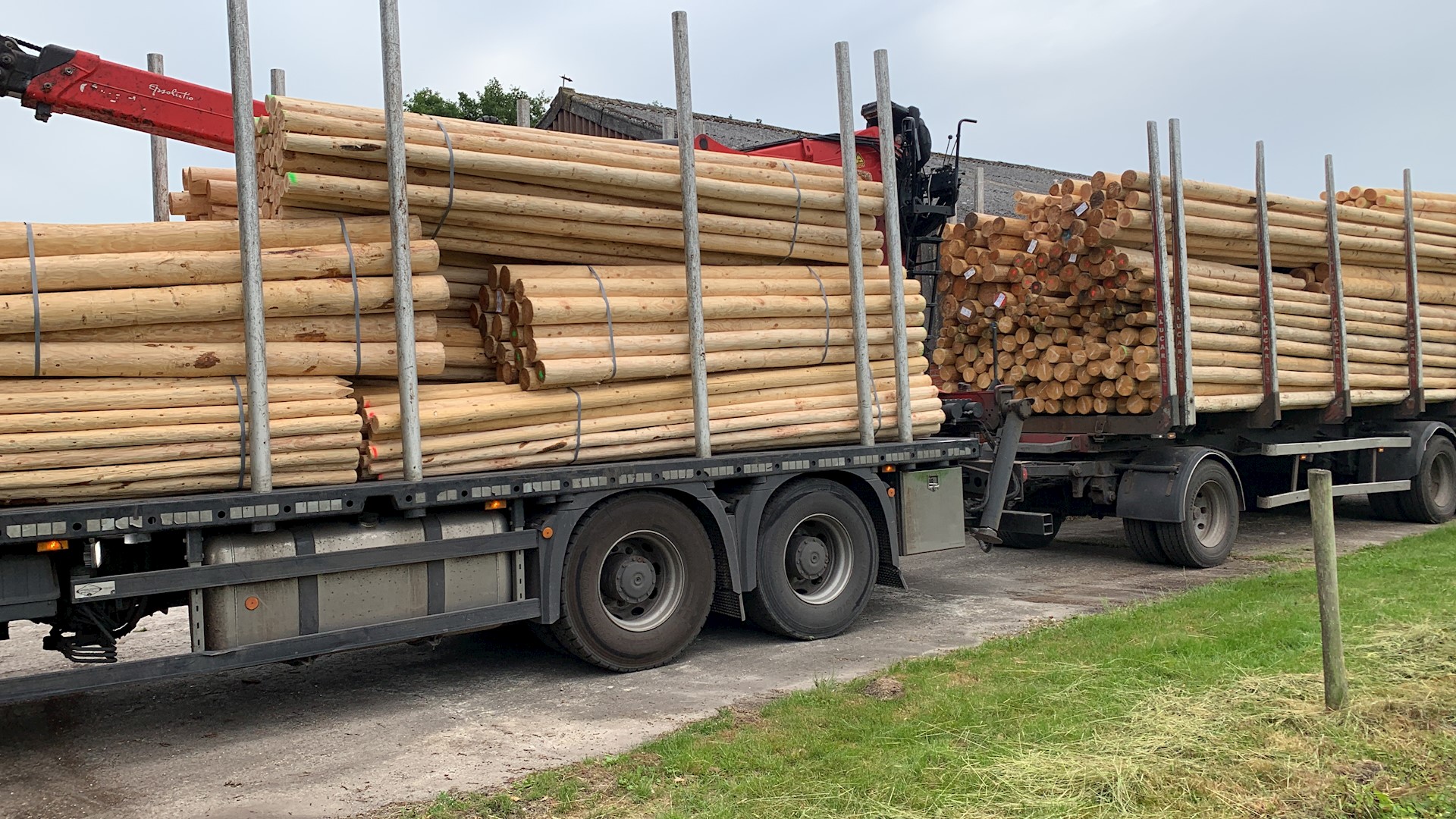 9C5E8651 AF80 403A 9A3E 06C1A1DBD9C5