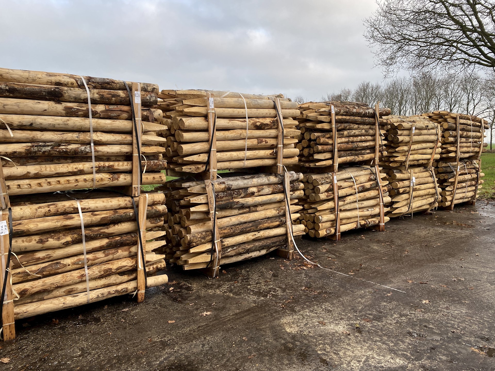 23355112 2EE7 4400 A348 9D4B8EDB0BF7