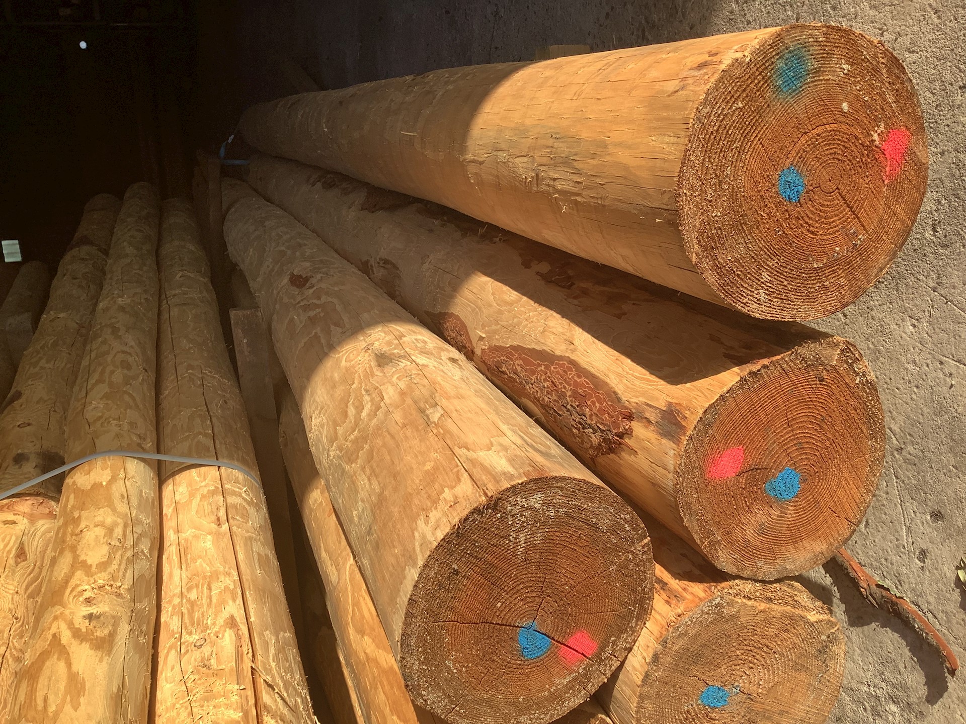 4CAC6BB4 D689 4FF5 AADC 0C4F1A22D03E