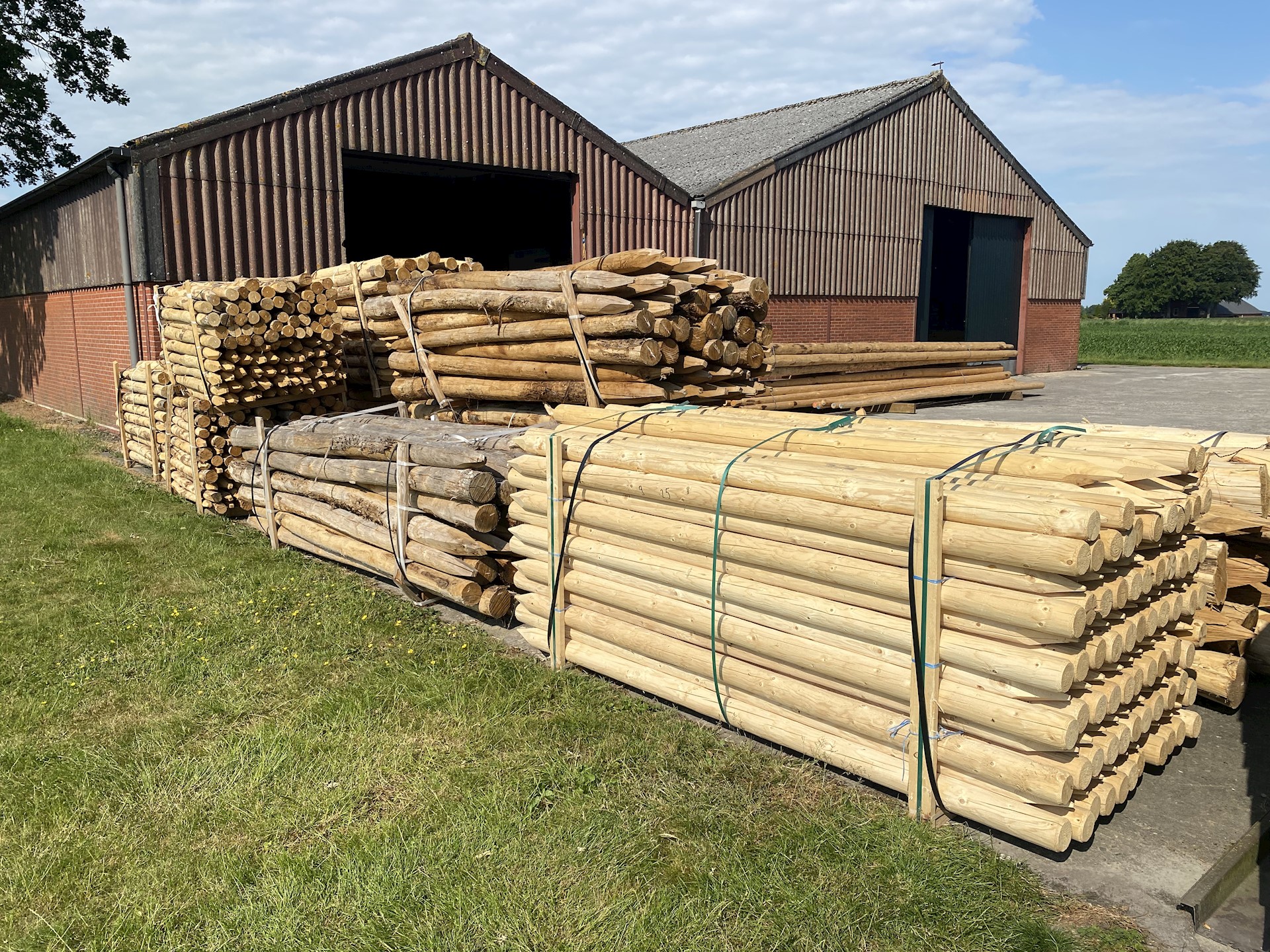 Robinia, kastanje en vuren palen met en zonder punt