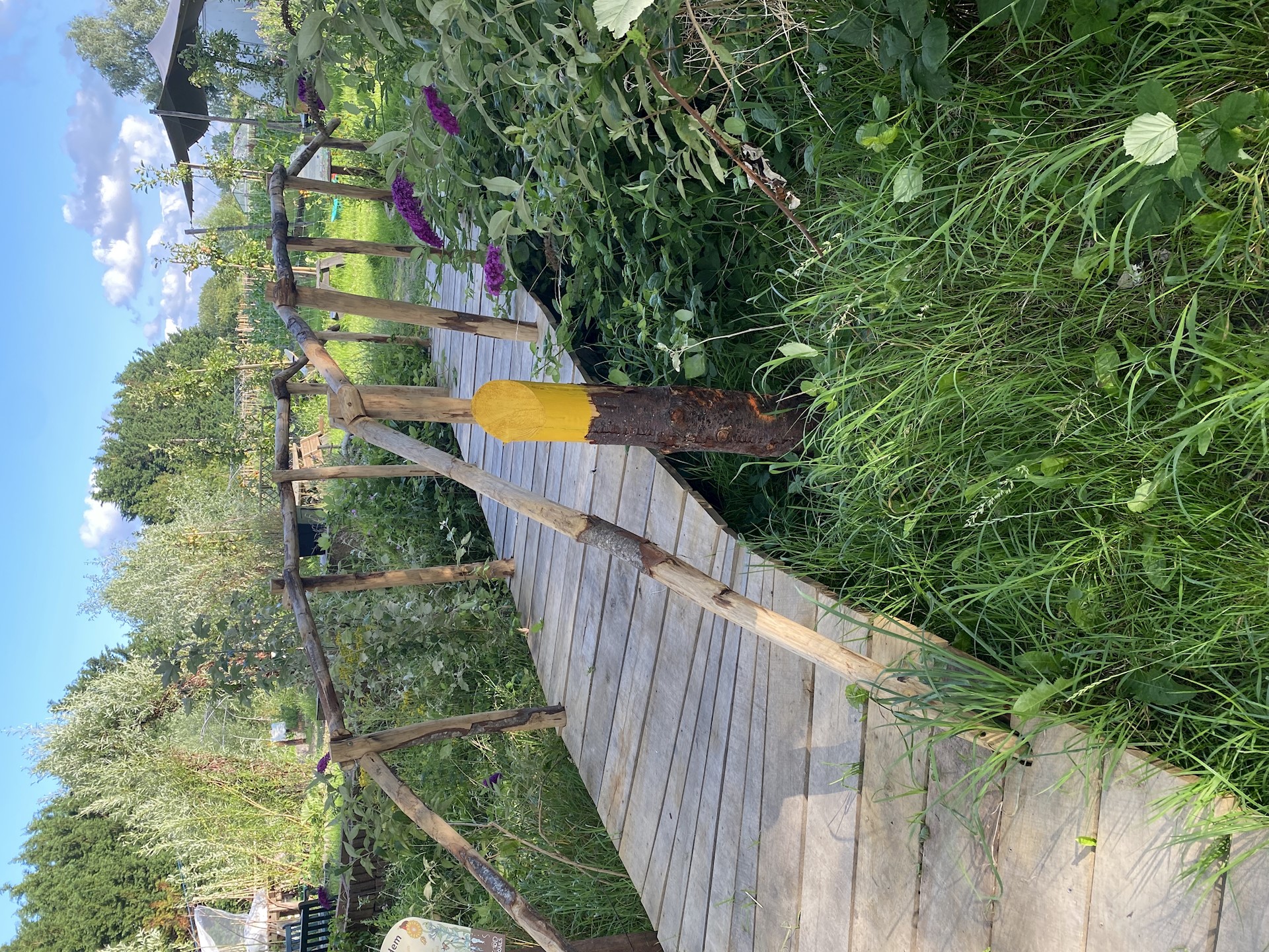 IMG 7587